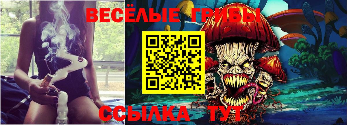 Псилоцибиновые грибы Cubensis  Вход с VPN  Галлюциногенные грибы Psilocybine cubensis  Кашира 